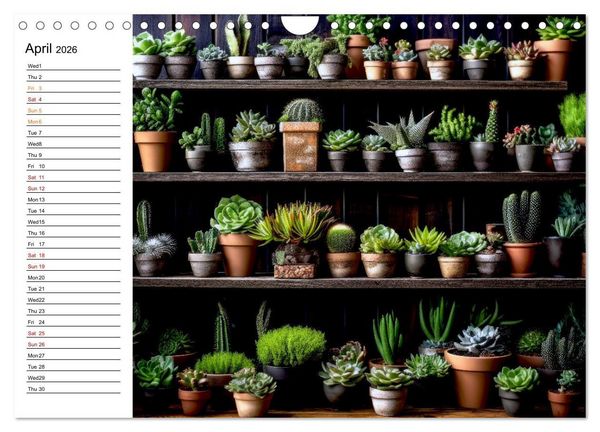 Produktbild: Cacti Wonderland (Wall Calendar 2026 DIN A4 landscape), CALVENDO 12 Month Wall Calendar