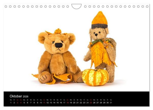 Produktbild: Martin B&auml;ren aus Sonneberg (Wandkalender 2026 DIN A4 quer), CALVENDO Monatskalender