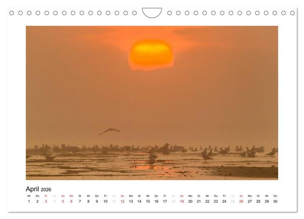 Produktbild: FEHMARN - Magische Momente (Wandkalender 2026 DIN A4 quer), CALVENDO Monatskalender