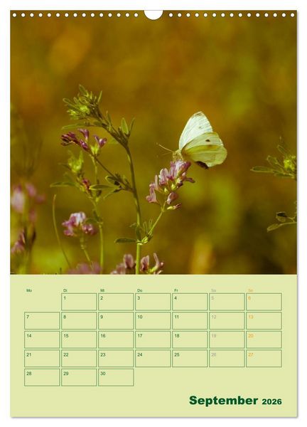 Produktbild: Wald- und Wiesenkalender 2026 Planer (Wandkalender 2026 DIN A3 hoch), CALVENDO Monatskalender