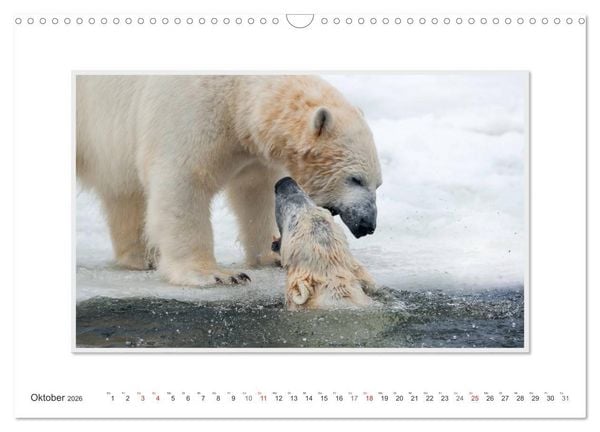 Produktbild: Emotionale Momente: Der Eisb&auml;r. (Wandkalender 2026 DIN A3 quer), CALVENDO Monatskalender