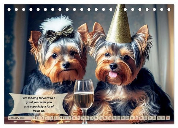 Produktbild: Great fun for Yorkshire Terrier lovers (Desk Calendar 2026 DIN A5 landscape), CALVENDO 12 Month DeskCalendar