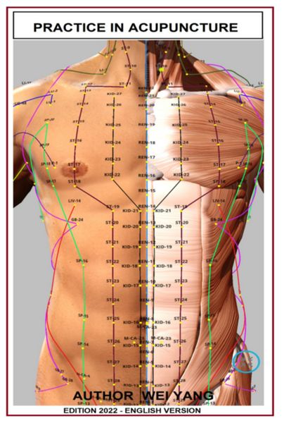 Produktbild: Practic In Acupuncture