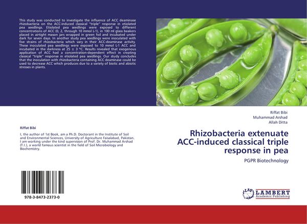 Produktbild: Rhizobacteria extenuate ACC-induced classical triple response in pea