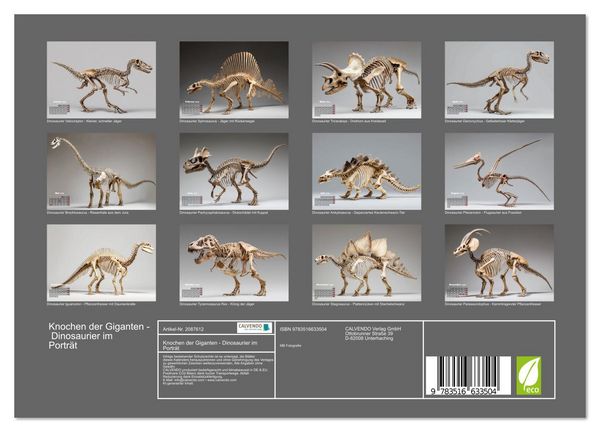 Produktbild: Knochen der Giganten - Dinosaurier im Portr&auml;t (Wandkalender 2026 DIN A4 quer), CALVENDO Monatskalender