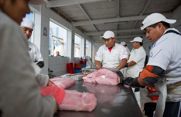Produktbild: Ceviche, mein Lieblingsessen aus Peru - Cinespaniol 6 (OmU)