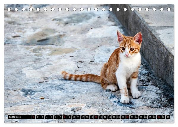 Produktbild: Griechische Katzen (Tischkalender 2026 DIN A5 quer), CALVENDO Monatskalender