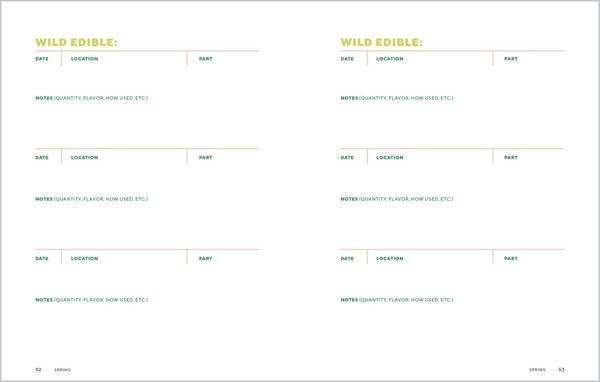 Produktbild: How to Forage for Wild Foods Without Dying Journal