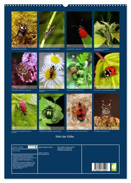 Produktbild: Welt der K&auml;fer (hochwertiger Premium Wandkalender 2027 DIN A2 hoch), Kunstdruck in Hochglanz