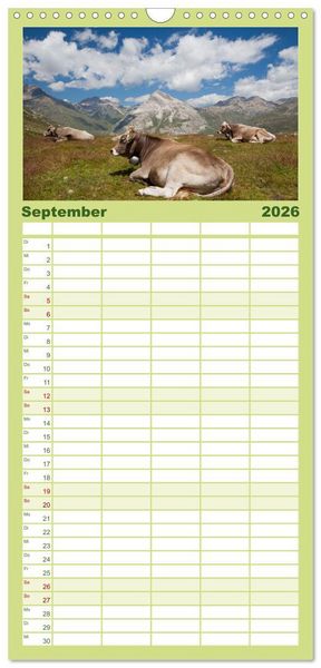 Produktbild: Familienplaner 2026 - Tierkalender 2026 mit 5 Spalten (Wandkalender, 21 x 45 cm) CALVENDO