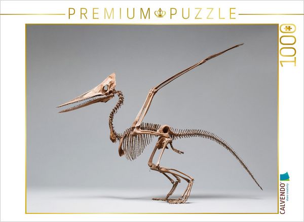 Produktbild: CALVENDO Puzzle Pteranodon-Skelett mit Fl&uuml;gelspannweite und Kammprofil | 1000 Teile Lege-Gr&ouml;&szlig;e 64x48cm Foto-Puzzle f&uuml;r gl&uuml;ckliche Stunden