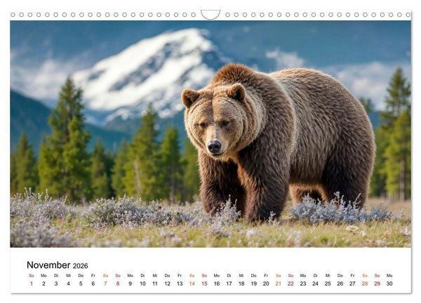Produktbild: B&auml;ren - Die Macht der Natur (Wandkalender 2026 DIN A3 quer), CALVENDO Monatskalender