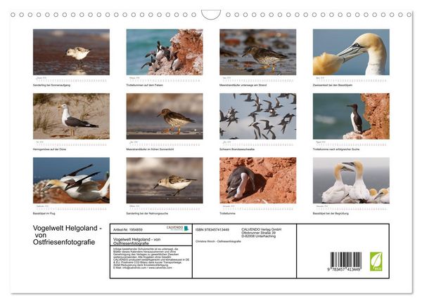 Produktbild: Vogelwelt Helgoland - von Ostfriesenfotografie (Wandkalender 2026 DIN A3 quer), CALVENDO Monatskalender