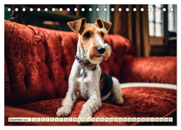 Produktbild: Drahthaar-Foxterrier (Tischkalender 2026 DIN A5 quer), CALVENDO Monatskalender