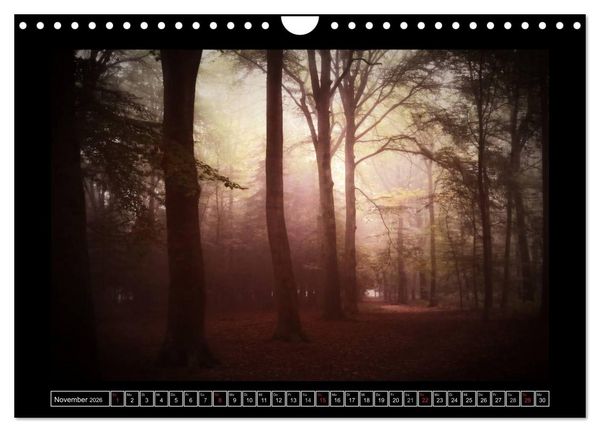 Produktbild: Der Reichswald bei Kleve (Wandkalender 2026 DIN A4 quer), CALVENDO Monatskalender