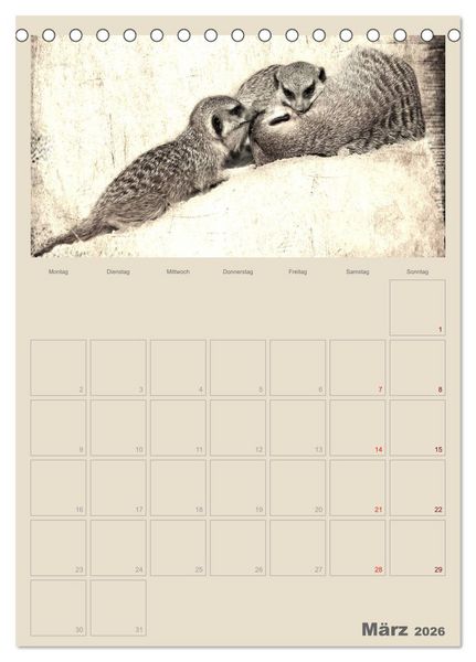 Produktbild: Lustige Erdm&auml;nnchen (Tischkalender 2026 DIN A5 hoch), CALVENDO Monatskalender
