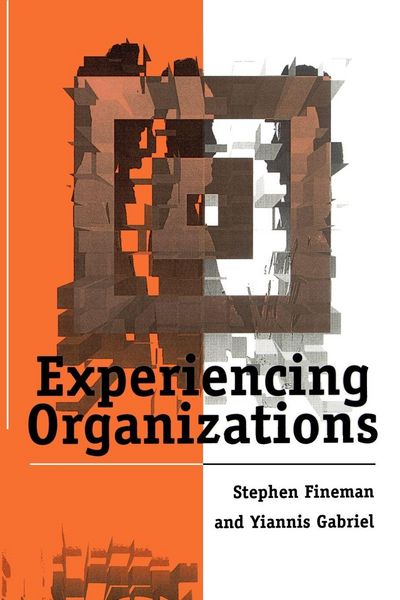 Produktbild: Experiencing Organizations