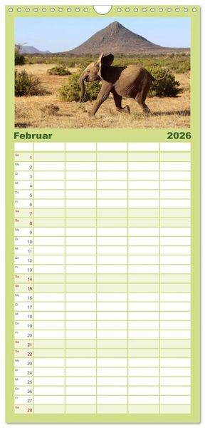 Produktbild: Familienplaner 2026 - Afrika - im Reich der Elefanten mit 5 Spalten (Wandkalender, 21 x 45 cm) CALVENDO