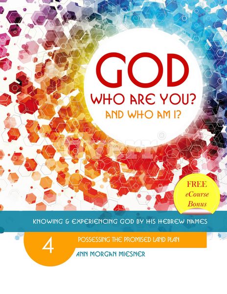 Produktbild: God Who Are You? And Who Am I? Knowing and Experiencing God by His Hebrew Names: Possessing the Promised Land Plan