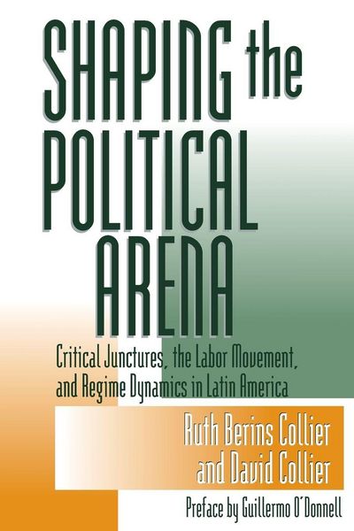 Produktbild: Shaping the Political Arena