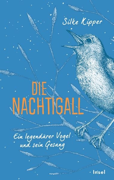 Die Nachtigall, Gebundene Ausgabe von Silke Kipper, Insel, 978-3-458-64288-6