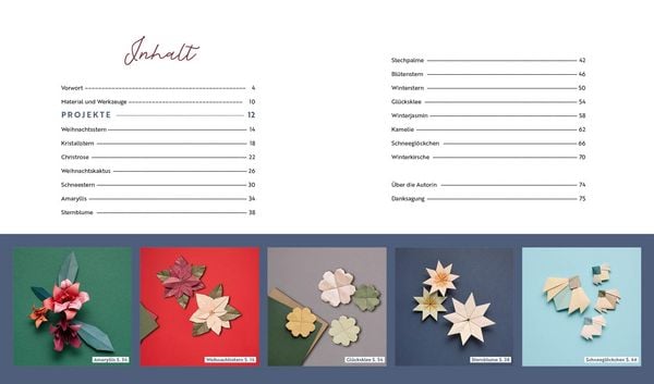 Produktbild: Origami-Winter-Flowers &ndash; Wundersch&ouml;ne Bl&uuml;ten & Sterne zum Dekorieren & Verschenken
