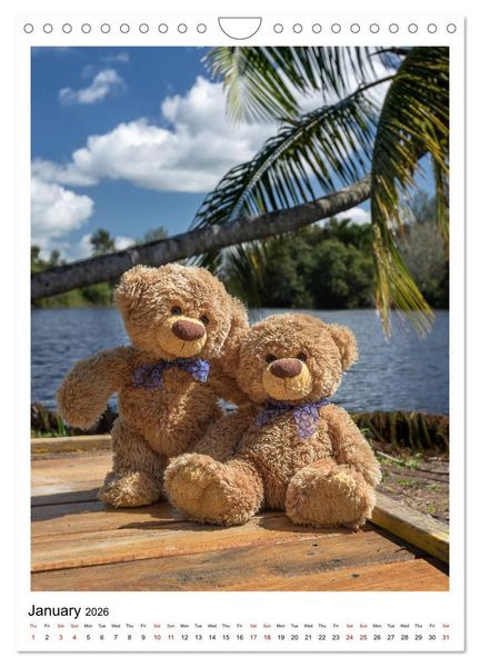 Produktbild: Travelling Teddy Cuba Edition 2026 (Wall Calendar 2026 DIN A4 portrait), CALVENDO 12 Month Wall Calendar