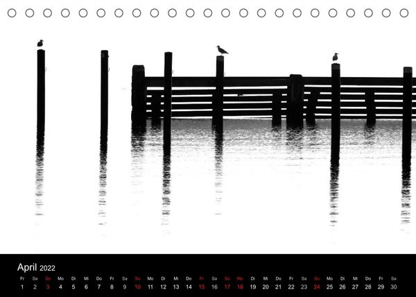 Kieler Vögel (Tischkalender 2022 DIN A5 quer)