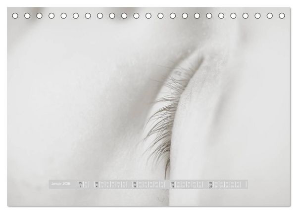 Produktbild: ...so winzig - Babykalender (Tischkalender 2026 DIN A5 quer), CALVENDO Monatskalender
