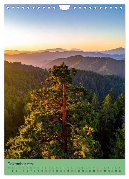 Produktbild: Sequoia Giganten (Wandkalender 2027 DIN A4 hoch), CALVENDO Monatskalender
