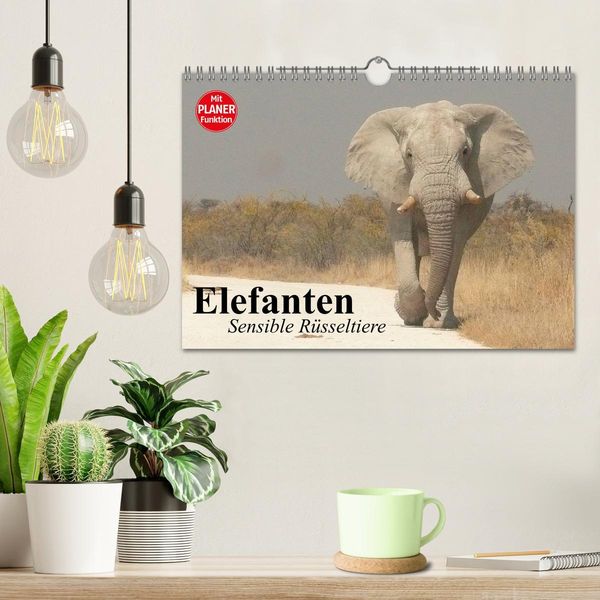 Produktbild: Elefanten. Sensible R&uuml;sseltiere (Wandkalender 2026 DIN A4 quer), CALVENDO Monatskalender