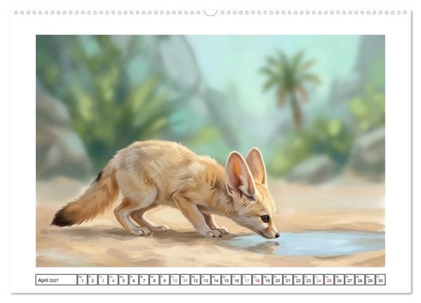 Produktbild: Fenneks - Neugierige Momente in der W&uuml;ste (hochwertiger Premium Wandkalender 2027 DIN A2 quer), Kunstdruck in Hochglanz