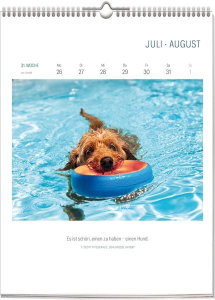 Produktbild: Literarischer Hunde Kalender 2027