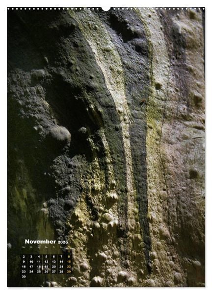 Produktbild: Zauberb&auml;ume (hochwertiger Premium Wandkalender 2026 DIN A2 hoch), Kunstdruck in Hochglanz