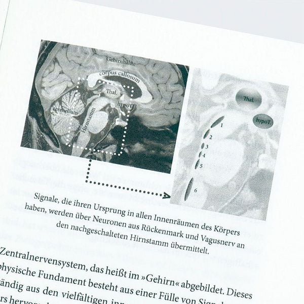 Produktbild: Nat&uuml;rliche Intelligenz und Bewusstsein in Zeiten von KI