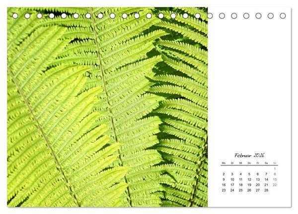 Produktbild: Blattkunst (Tischkalender 2026 DIN A5 quer), CALVENDO Monatskalender