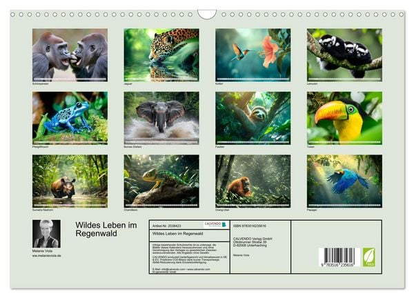 Produktbild: Wildes Leben im Regenwald (Wandkalender 2026 DIN A3 quer), CALVENDO Monatskalender