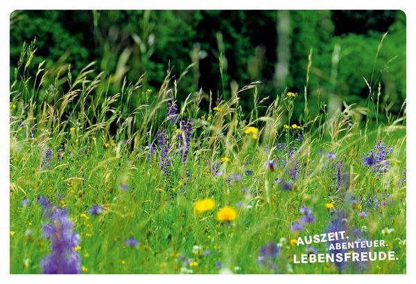 Produktbild: 52 kleine & gro&szlig;e Eskapaden in der Eifel