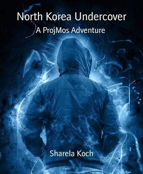 Produktbild: North Korea Undercover