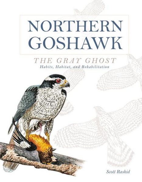 Produktbild: Northern Goshawk, the Gray Ghost