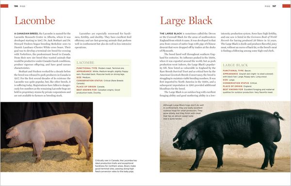 Produktbild: Storey's Illustrated Breed Guide to Sheep, Goats, Cattle and Pigs
