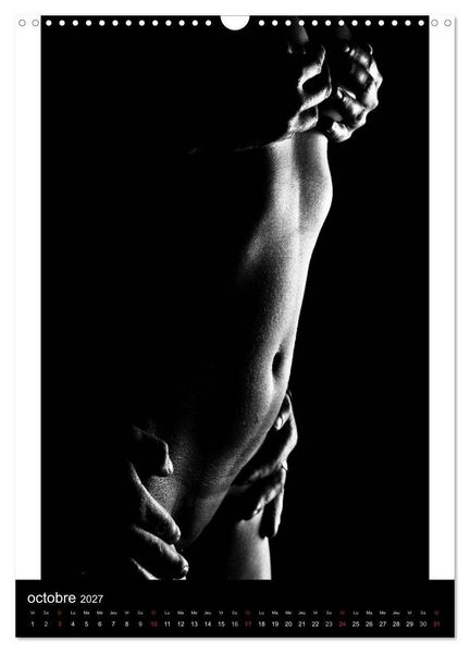 Produktbild: F&eacute;minit&eacute; (Calendrier mural 2027 DIN A3 horizontal), CALVENDO calendrier mensuel