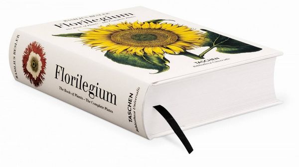 Produktbild: Basilius Besler. L'Herbier. Hortus Eystettensis