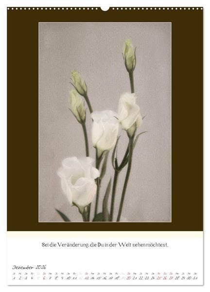 Produktbild: Der Buddhistische Weisheiten Kalender (Wandkalender 2026 DIN A2 hoch), CALVENDO Monatskalender