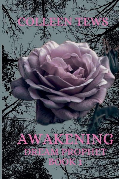 Produktbild: Awakening