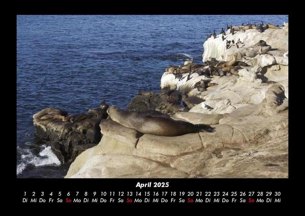 Produktbild: Seeblick 2025 Fotokalender DIN A3