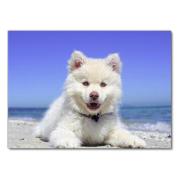 Produktbild: Lais Puzzle Finnisch Lapphund 1000 Teile