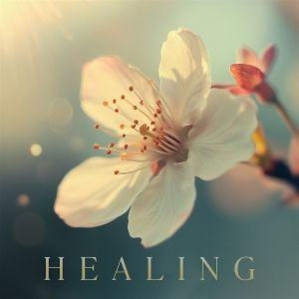Produktbild: Healing