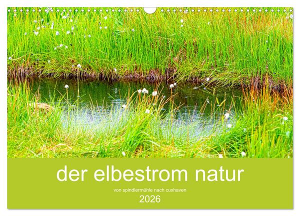 der elbestrom natur (Wandkalender 2026 DIN A3 quer), CALVENDO Monatskalender