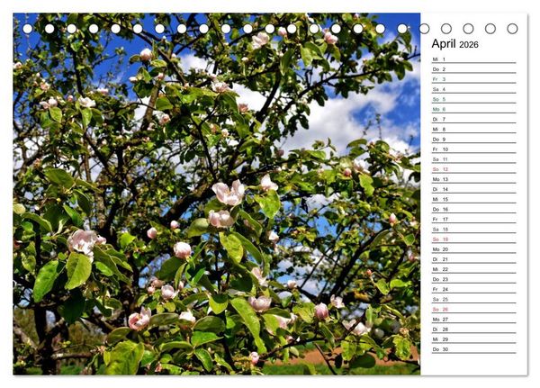 Produktbild: Landschaften des Kraichgaus (Tischkalender 2026 DIN A5 quer), CALVENDO Monatskalender